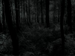 Dark_forest